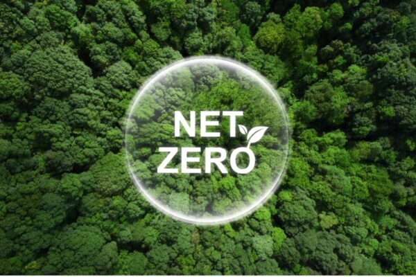 Trees in the background with the words Net Zero placed on top within a circle